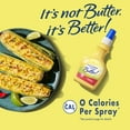 thumbnail image 4 of I Can’t Believe It’s Not Butter! Original Spray 8 oz Bottle, 4 of 8