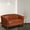 Cognac, variant on Emma + Oliver Black LeatherSoft Loveseat with Cherry Wood Feet