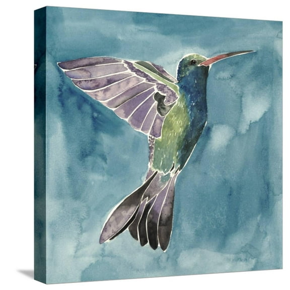 Art.com Watercolor Hummingbird I Stretched Canvas Print Wall Art by Grace Popp, 16" x 16"