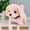 C, variant on Interactive Walking and Barking Robot Puppy Toy - Soft Plush Companion for Kids, My Realistic Robot Puppy Dog Toy Cute Soft Mini Robot Puppy For Kids Gifts