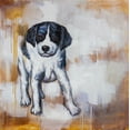 thumbnail image 2 of Atelier B Art Studio 20x20 Black Ornate Wood Framed with Double Matting Museum Art Print Titled - Curious Puppy Dog, 2 of 4