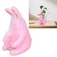 thumbnail image 4 of Decoración de jarrones hidropónicos estatua de conejo tubo de ensayo hidropónico resina resistente a la intemperie multiusos lindo para muebles para balcón ANGGREK Otros, 4 of 8