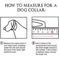 thumbnail image 4 of Collier Chaîne pour Chien Or 18k Poli Acier Inoxydable Chaîne Cubaine Joint Protection Robuste, 4 of 5