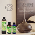 thumbnail image 2 of Mystic Romance Premium Home Fragrance Oil Scent JASMINE PREM FRAGRANCE SET 8FL+ 4FL+2FL.OZ 427 ML, 2 of 8