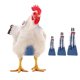 thumbnail image 1 of Jacenvly Decoraciones de Año Nuevo Chino 2024 Liquidación 1 pieza Pañales para mascotas de pollo Pañales para patitos Pañales reutilizables para gansos Pañales lavables para mascotas con pajarita, 1 of 7