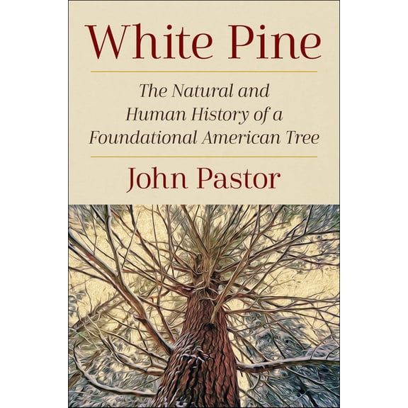 White Pine: The Natural and Human History of a Foundational American Tree, (Paperback)