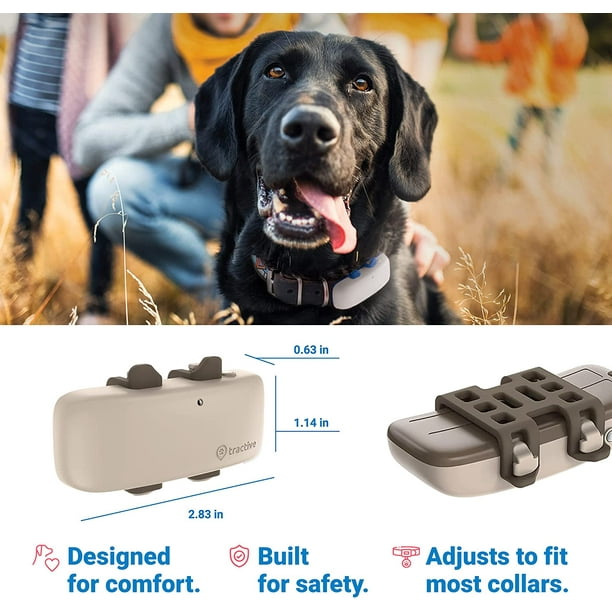 Collier pour chien Tractive GPS DOG 4 - collier GPS pour chien