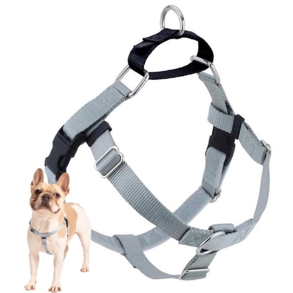 2 Hounds Design Freedom No Pull Dog Harness | Adjustable Gentle Comfortable Control for Easy Dog Walking | for Small Medium and Large Dogs | Made in USA | Leash Not Included | 1" LG S