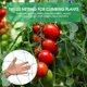 thumbnail image 4 of Red de enrejado para plantas trepadoras 16 X 6 FT Irfora 5*1.8m, 4 of 7