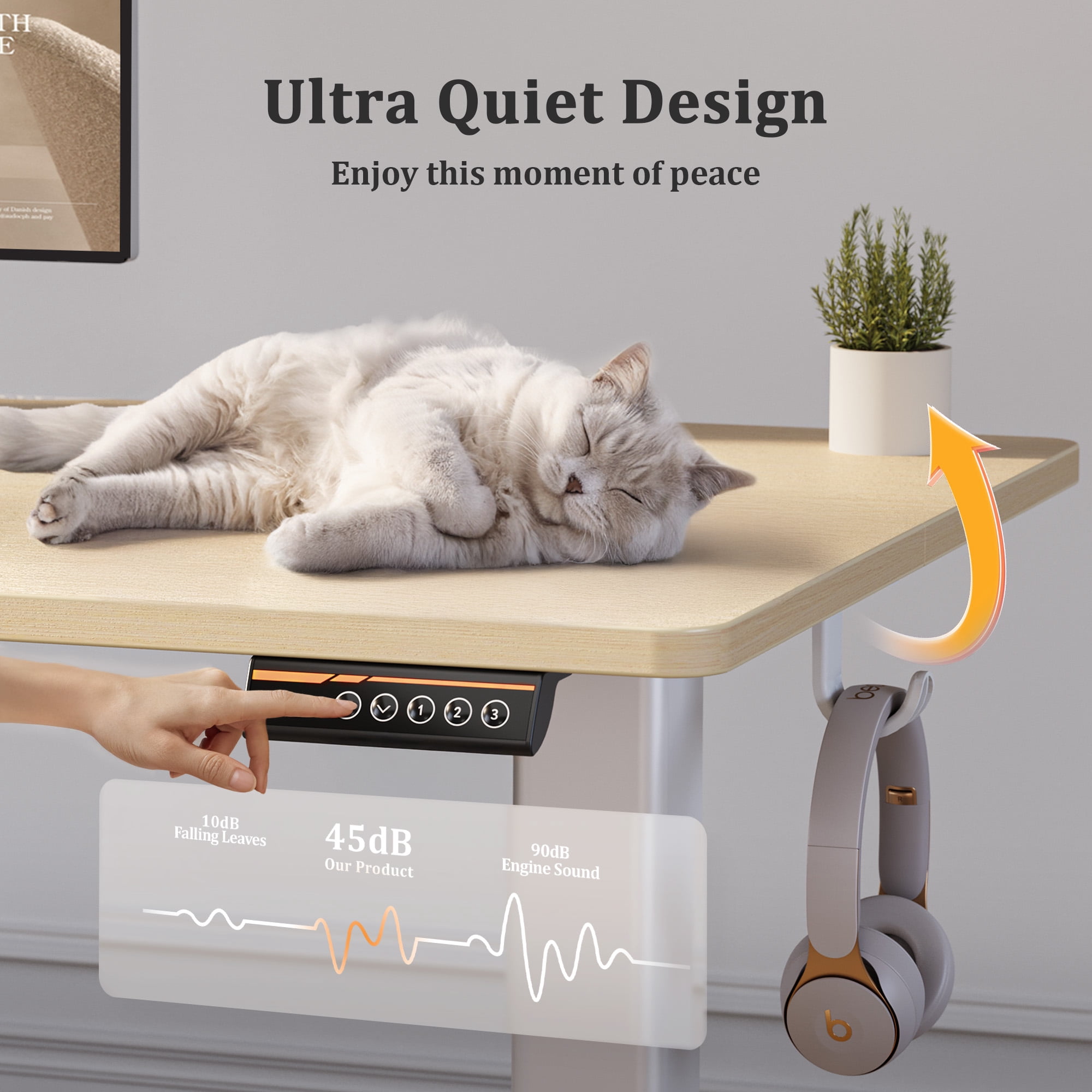 INNOVAR Adjustable Height Desk,  48x24 inches Electric Stand up Standing Desk,Student Study Rising Table, Computer Sit to Stand Desk for Home Office Work W/Splice Board, Nature,Easy to Install