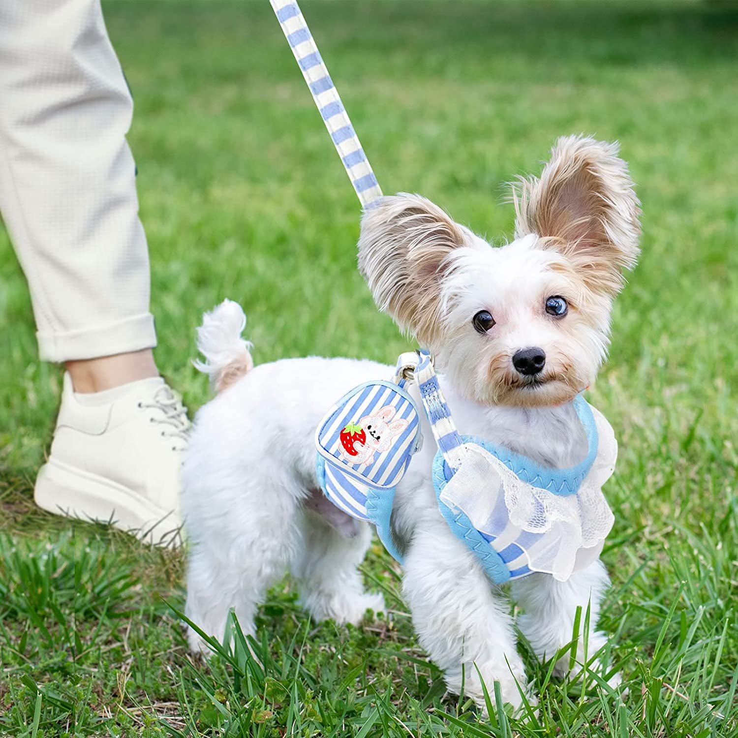 Orange Checkered No-Pull Dog Harness & Leash Set – Reflective, Breathable Mesh Vest For Small/Medium Dogs