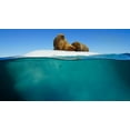 thumbnail image 4 of The Blue Planet Collection [DVD], 4 of 9