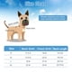 thumbnail image 4 of Ropa de primavera y verano para perros y gatos, camiseta de estilo hawaiano para mascotas, ropa para perros con patrón de árbol de coco 752, 4 of 6