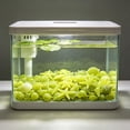 thumbnail image 6 of AYktou 50 Pcs/1.2 Inch Sea Glow in The Dark Rocks for Fish Tank, Aquarium Glow Stones Rocks Luminous Gravel, Fluorescent Stones Noctilucent Substrate for Potted Fish Tank Bonsai, 6 of 6