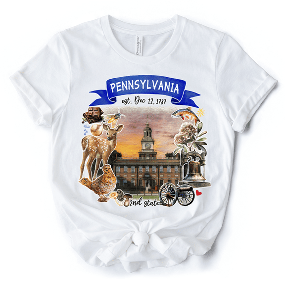 Artistic Pennsylvania State Themes and Landmarks T-Shirt, Tee for History and Travel Lovers