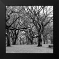 thumbnail image 2 of Grey, Jace 12x12 Black Modern Framed Museum Art Print Titled - Central Park 2B, 2 of 5
