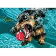 thumbnail image 7 of Willow Creek Press Underwater Dogs: Pool Pawty 1000-Piece Puzzle, 7 of 7