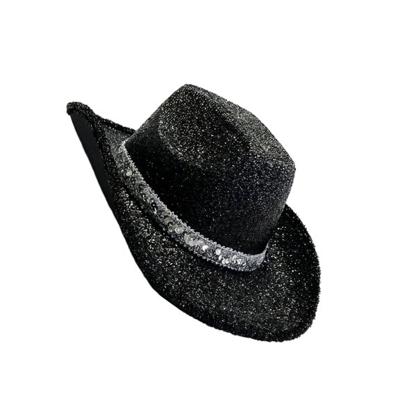 1. Glitter Powder Western Hat Unisex Sparkling Top Hat Wide Brim for Music Festival Parties Costume Accessories Headwear
