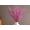 Rose, variant on Firefly Hope Tall Faux Jasmine Flower Bunches, 29.5" Artificial Blooms with Dry Branches, 10 Pieces Lifelike Plants for Indoor Space & Event Decoration, Red