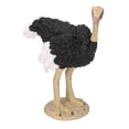 thumbnail image 4 of Estatuilla de modelo de avestruz modelo de avestruz animal exquisito para accesorios educativos ANGGREK Otros, 4 of 8