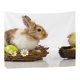 thumbnail image 2 of ABPHQTO Huevos de Pascua Tapiz de conejo Decoración de pared Sala de estar Dormitorio Tapices DIY 150x200 cm, 2 of 4