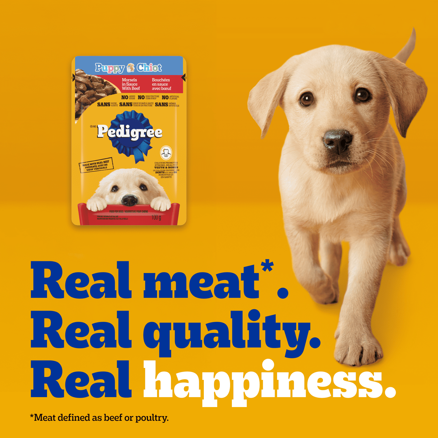 PEDIGREE Puppy Wet Dog Food Morsels in Sauce With Beef, 100g Pouch