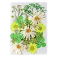 thumbnail image 1 of Matsuzay Flores secas naturales Artísticas Flores prensadas Belleza Joyas Decoraciones Postales decorativas Regalos para tarjetas de boda de resina Flores artificiales Typ 2 Matsuzay HA010799-02, 1 of 6