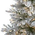 thumbnail image 5 of Nearly Natural 7ft Flocked West Virginia Spruce Christmas Tree w/400 Clear Light, 5 of 8