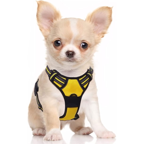 Rabbitgoo Arnés para Perros, Arnés para Mascotas Sin Tirones con 2 Clips para Correa, Chaleco Acolchado Suave Ajustable para Perros, Chaleco Oxford Reflectante para Mascotas sin Estrangulamiento con M