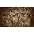 thumbnail image 3 of Bell, Lillian 24x16 Black Modern Framed Museum Art Print Titled - Autumn Leaves, 3 of 5