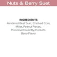 thumbnail image 5 of Blue Seal So Berry Nutty Suet Treat Bars for Wild Birds - 8oz Suet Feeder (Pack of 12) - New, 5 of 8