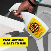 STAR BRITE Mold Stain & Mildew Stain Remover