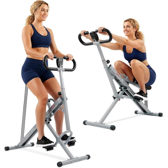 Sunny Health & Fitness Row-N-Ride Rowing Machine, Silver - NO. 077-S