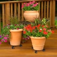 thumbnail image 4 of Clearance! Under$5 Metal Plant Stand with Wheels, Load Max 110Lbs Round Flower Pot Plant Caddy Outdoor with 360° Rolling Casters for Indoor, Home, Garden, 4 of 9