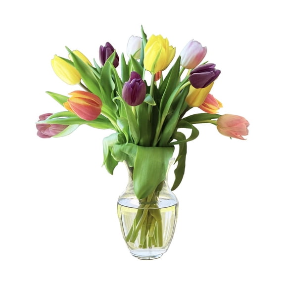KaBloom-Tulip Rainbow 15 stems - Vase -Gift for Every Occasion.