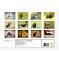 thumbnail image 2 of Havanese - whirlwinds from Cuba (Monthly Wall Calendar 2026 16.5 x 23.4 (open)), CALVENDO 14 Month Calendar, 2 of 9