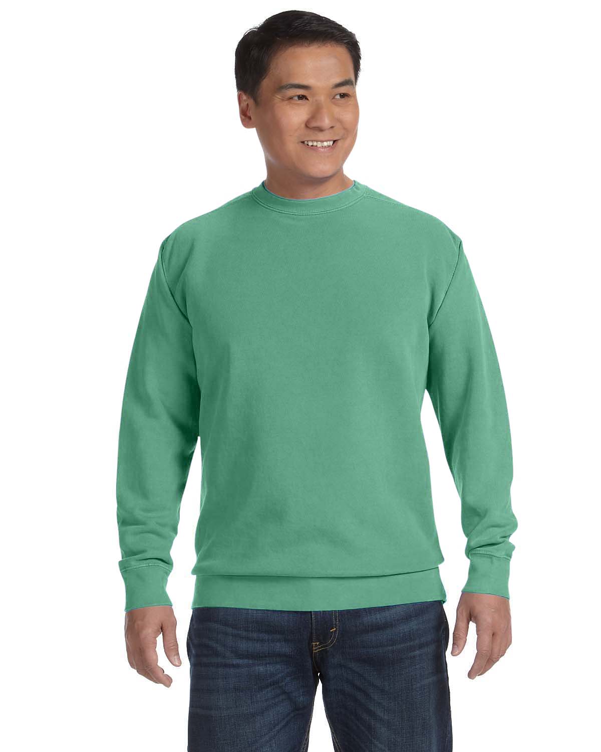 comfort colors crewneck sweatshirt