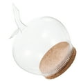 thumbnail image 4 of 1 Ensemble de Dôme en Verre Transparent Forme de Pomme Fleur Préservée avec Plateau en Liège, 4 of 9