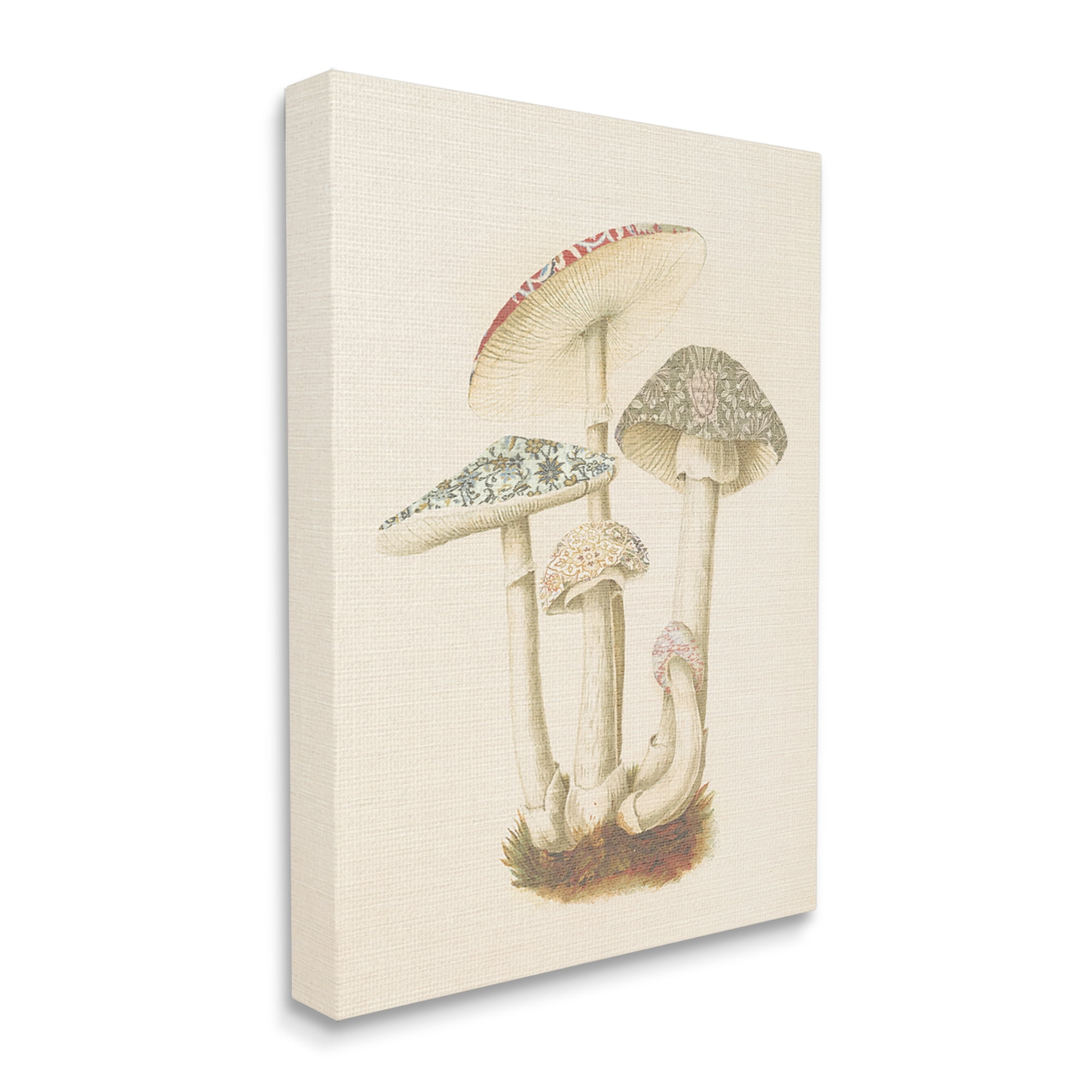 Stupell Industries Vintage Mushroom Study Botanical & Floral Painting Gallery Wrapped Canvas Art Print Wall Art, 24 x 30