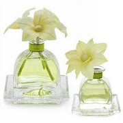 LEMON VERBENA Agraria Flower Diffuser Combo - AirEssence and PetiteEssence