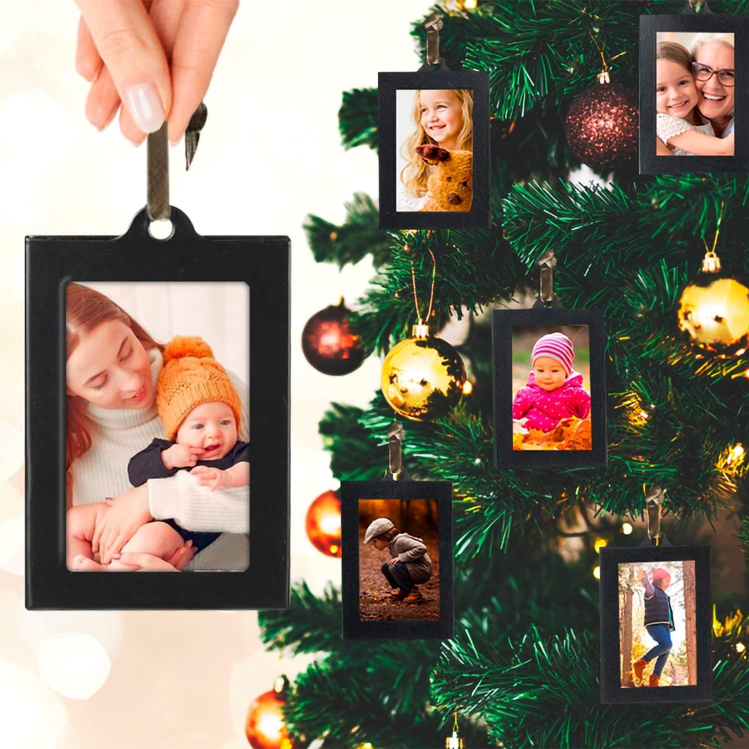 Maypes Family Tree Photo Frame Display, Brushed Bronze, 6 Hanging Picture Frames with Detachable Base