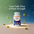thumbnail image 4 of Vitamatic Rutin 1000mg Bioflavonoid Supplement, 90 Servings, 4 of 10