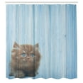 thumbnail image 3 of Ambesonne Animal Shower Curtain, Vivid Rustic Kitty, 69"Wx75"L, Caramel Blue, 3 of 5