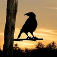 thumbnail image 6 of 11.02×8.3 Inches Crow on Branch Steel Silhouette Metal Wall Art Outdoor Home Garden Yard Patio Outdoor Statue Stake Decor Perfect Gift Decoration, 6 of 6