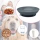 thumbnail image 4 of Cuenco para mascotas, cuenco para agua y comida para gatos, plato poco profundo para gatos, plato bonito para mascotas, contenedor de alimentación MFZFUKR BST3009580-3, 4 of 5