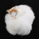 thumbnail image 3 of almohadilla de tela, muñeco de gato, muñeco de peluche, muñeco de juguete, adorno para , decoración de oficina #5, 3 of 9