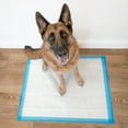 thumbnail image 2 of Four Paws Wee-Wee® Superior Performance Gigantic Dog Pee Pads with Runoff Edge Guard 28" x 34" (40 Count), 2 of 11