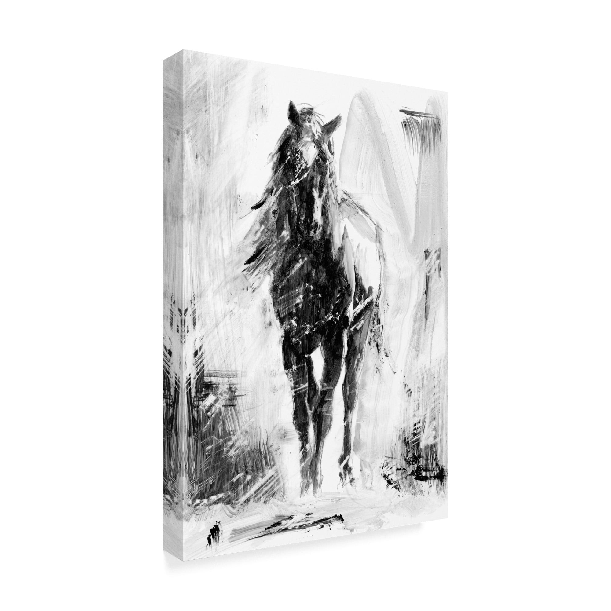 Trademark Fine Art 'Rustic Stallion II' Canvas Art by Ethan Harper