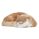 thumbnail image 1 of Figura decorativa de gato para dormir, simulacióa colcionable peluche para dormir Juguete Suave Peludo para Casa, 1 of 7