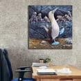 thumbnail image 6 of Epic Graffiti 'Blue Footed Boobies' by Harro Maass, Canvas Wall Art, 37"x37", 6 of 8